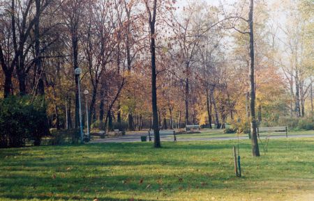Park im. Tadeusza Kociuszki